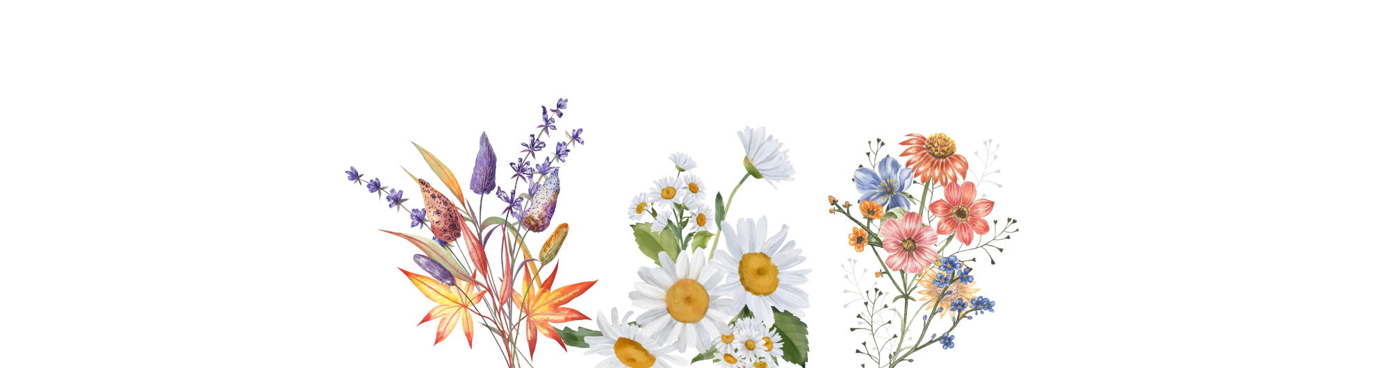 Newsletter Hintergrund