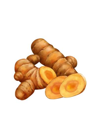 Kurkuma