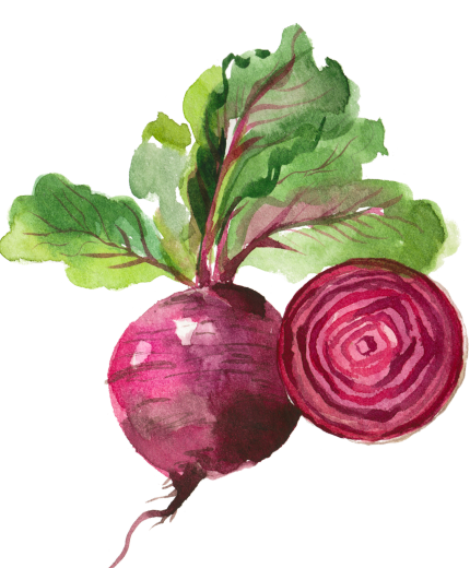 RoteBeeteFarbe
